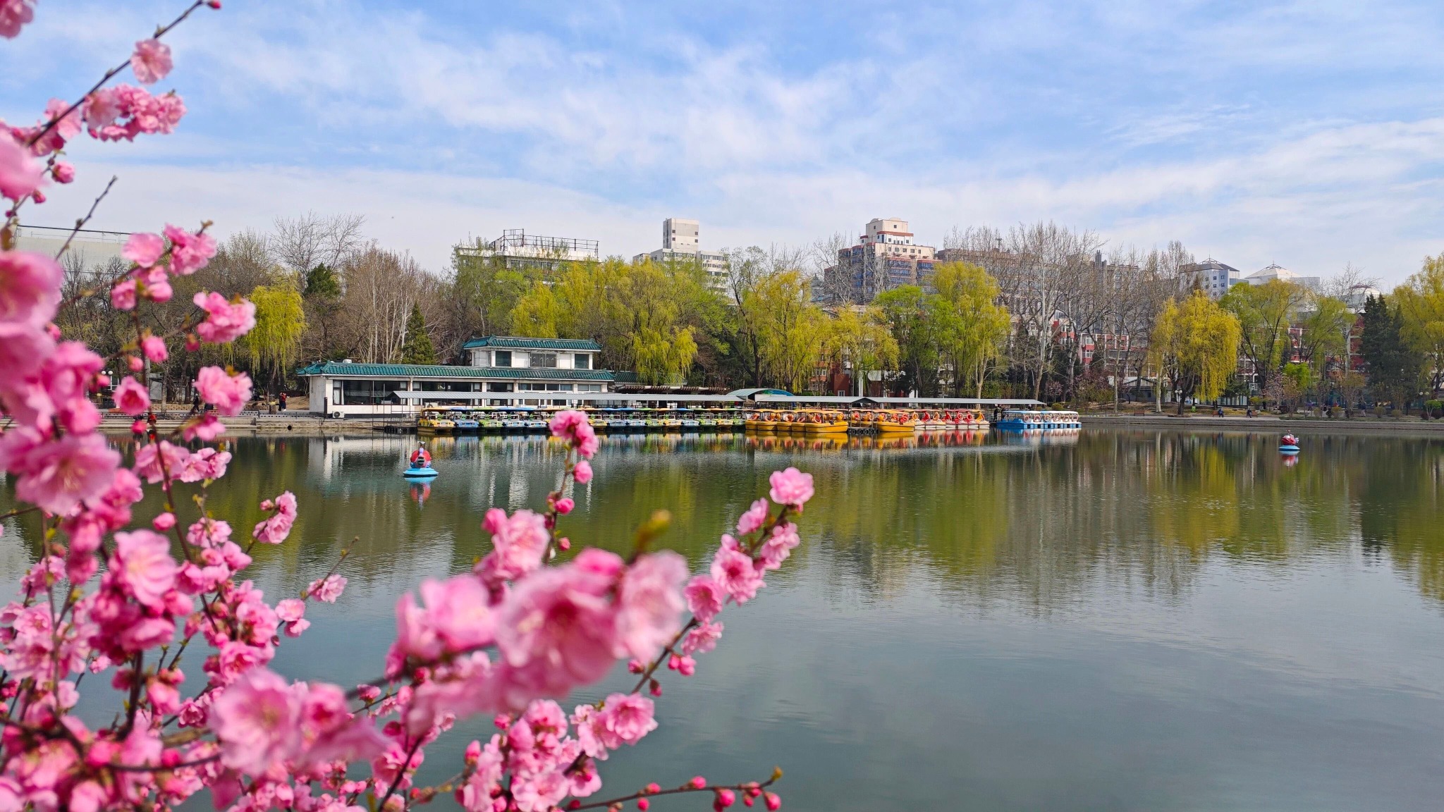 北京广播电视台BRTVChannel Facebook ad: Boat tours are now available in Beijing's Qingnian…