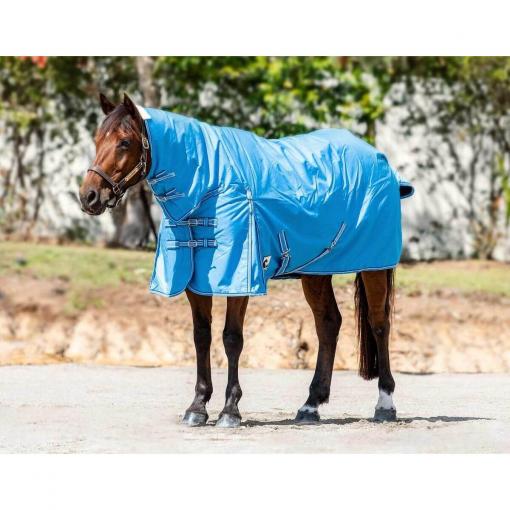 Petstock Facebook ad