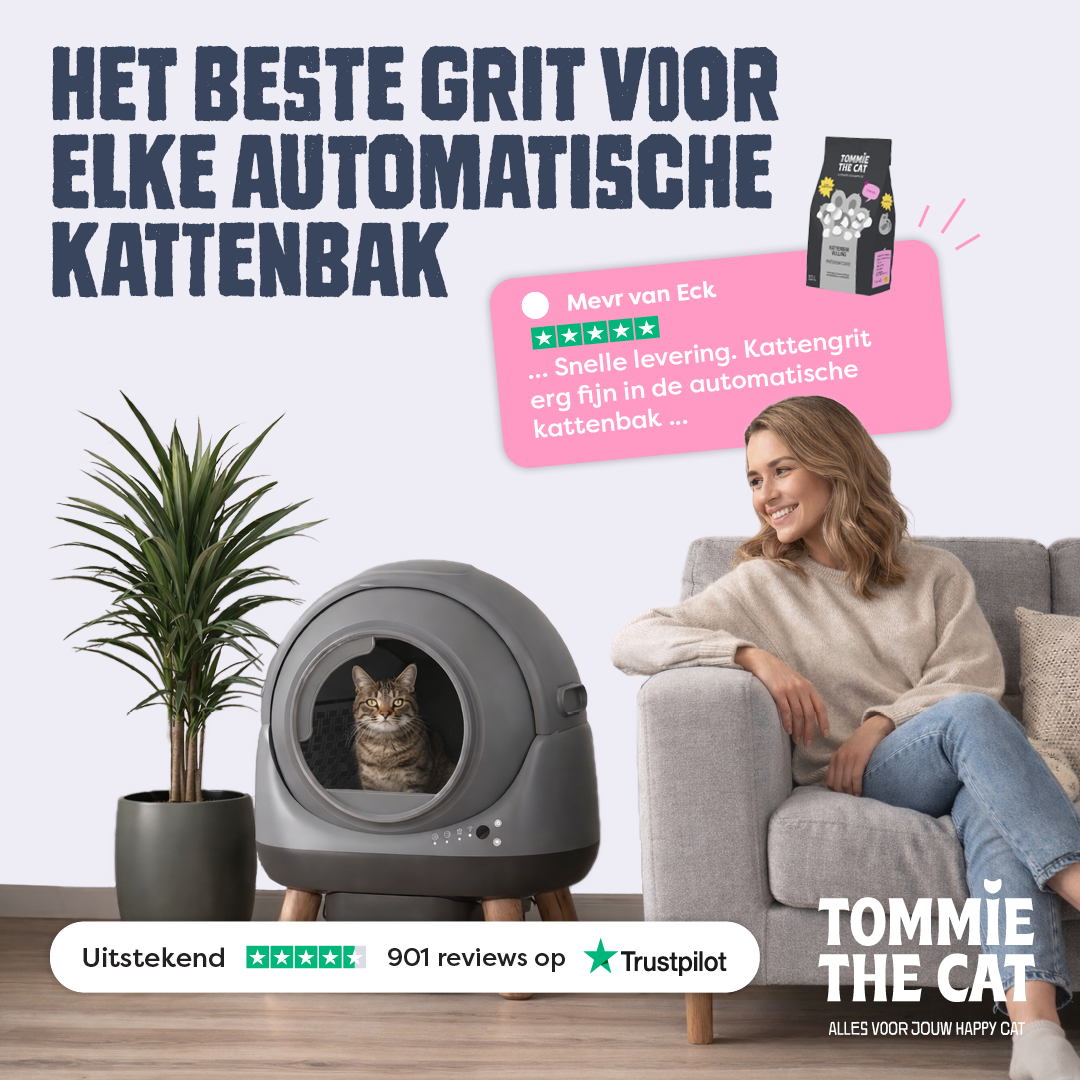 Tommie the Cat Facebook ad