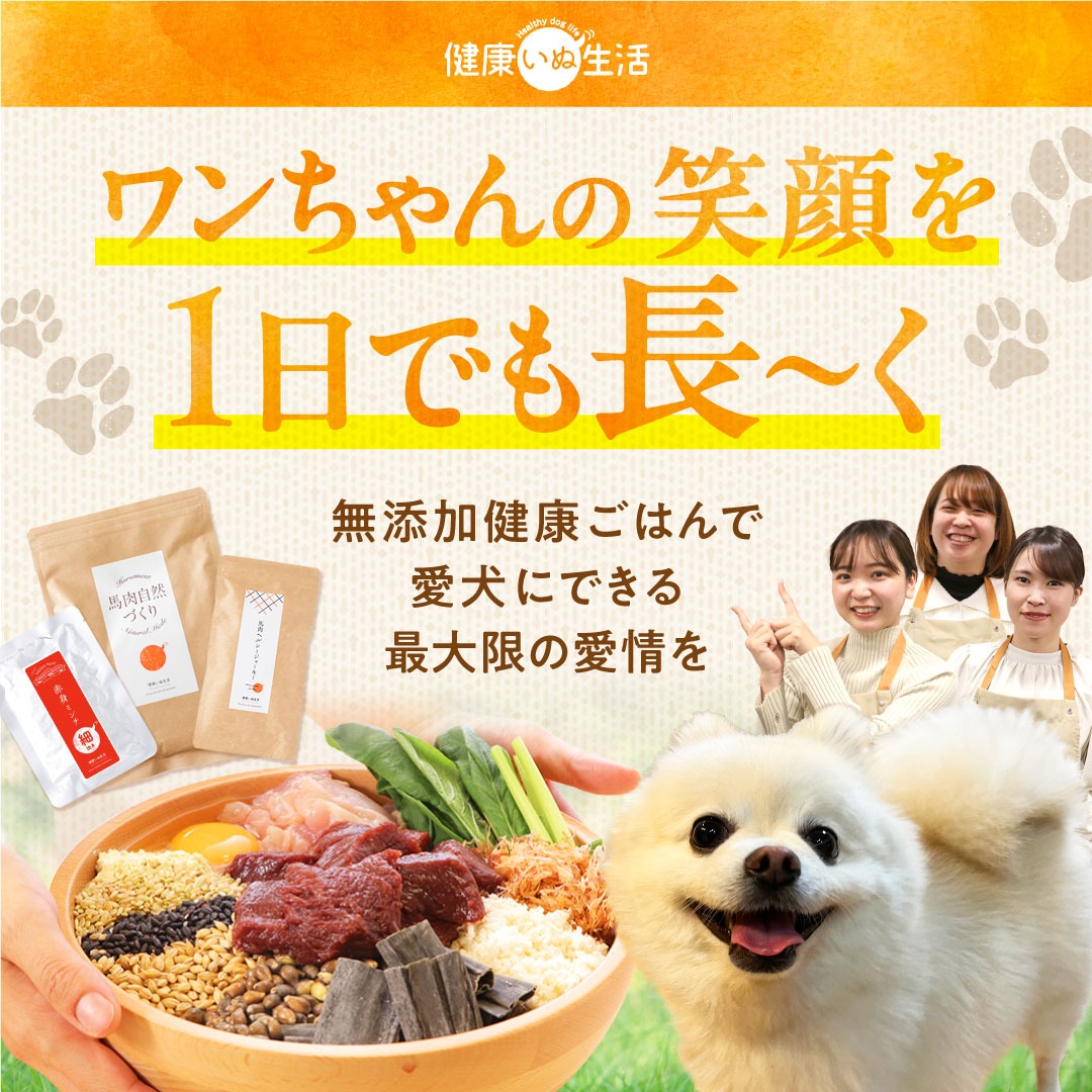 健康いぬ生活 Facebook ad