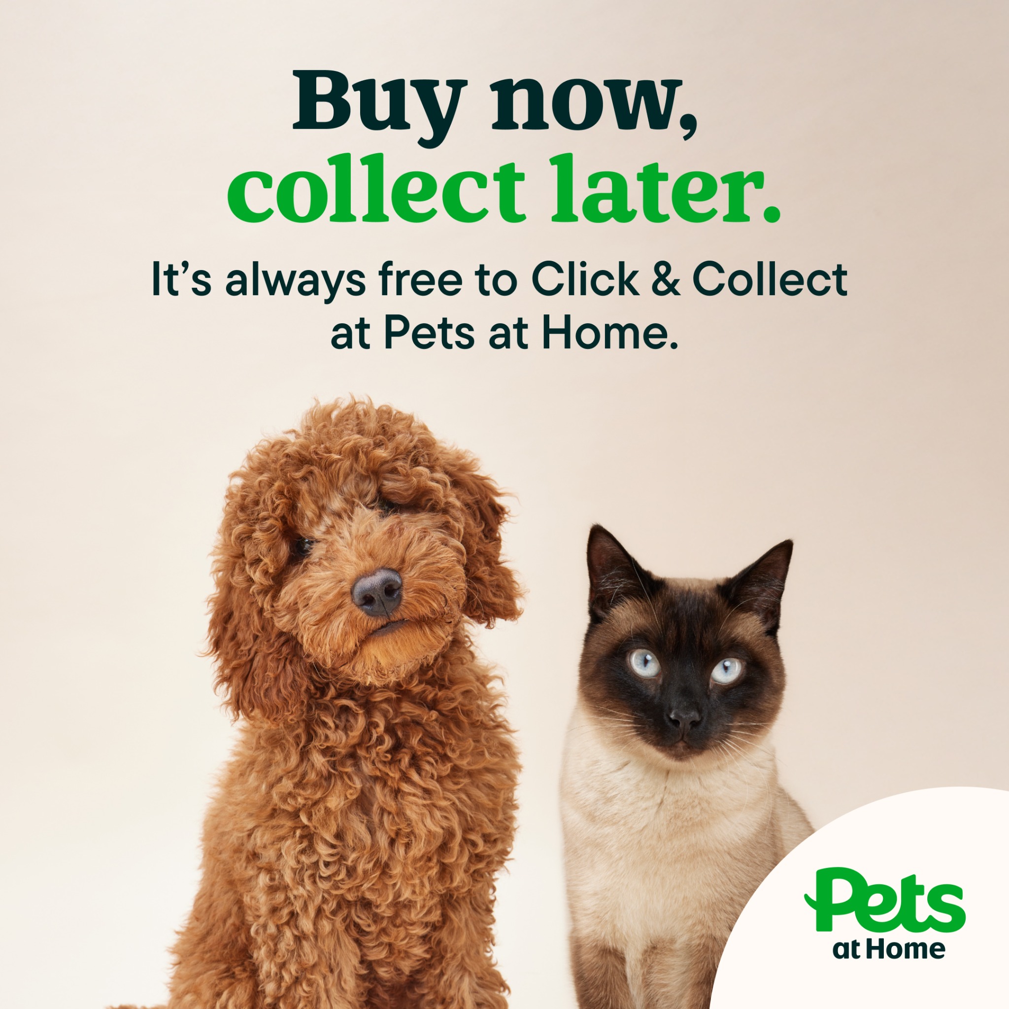 Pets UK Facebook ad: Click & Collect for easy pickup