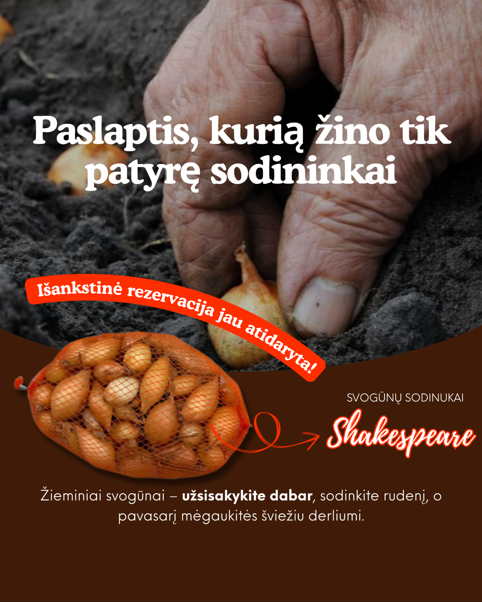 Nojaus sėklos Facebook ad