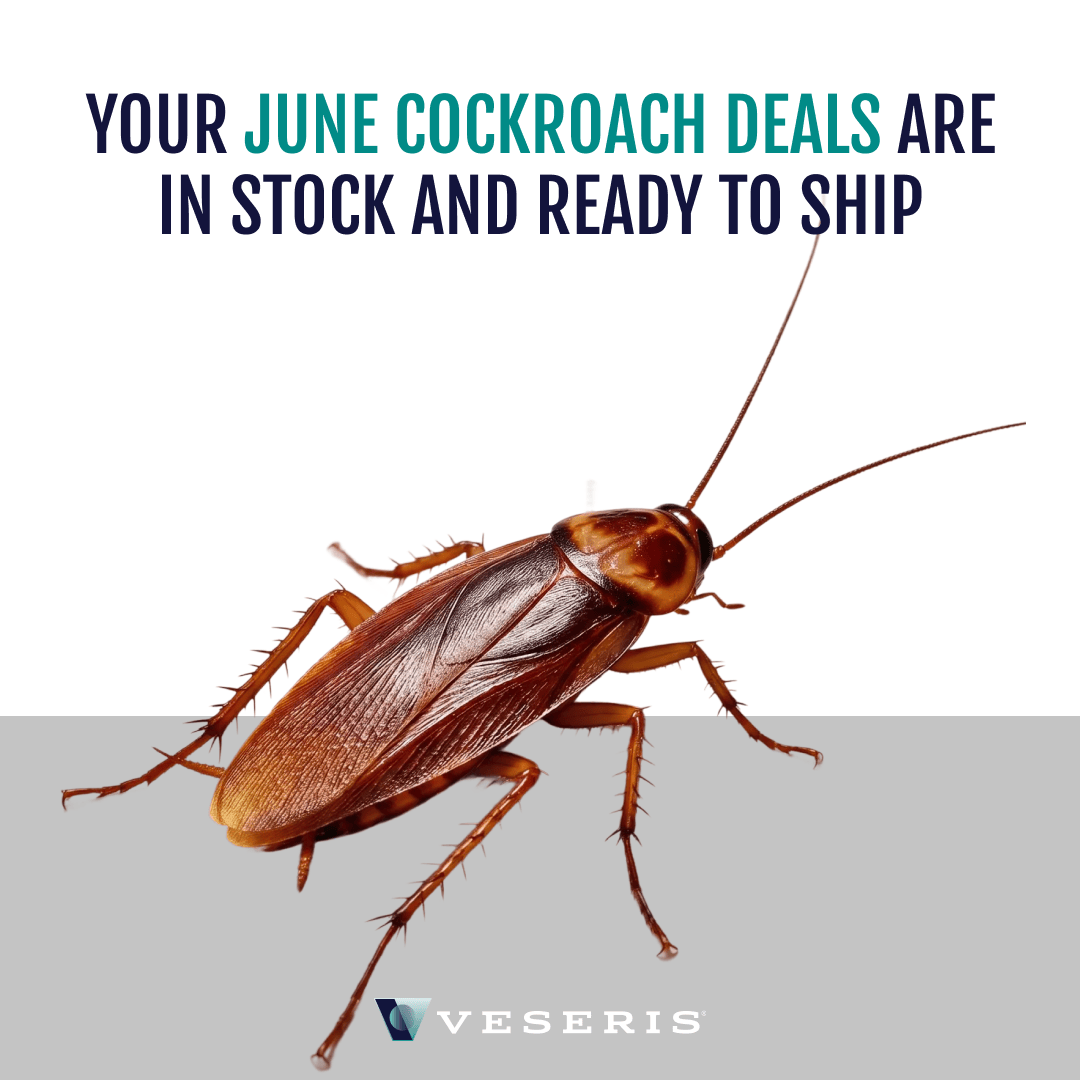 Veseris Facebook ad: Stock Up and Save, June Cockroach Promos Are Here Big…