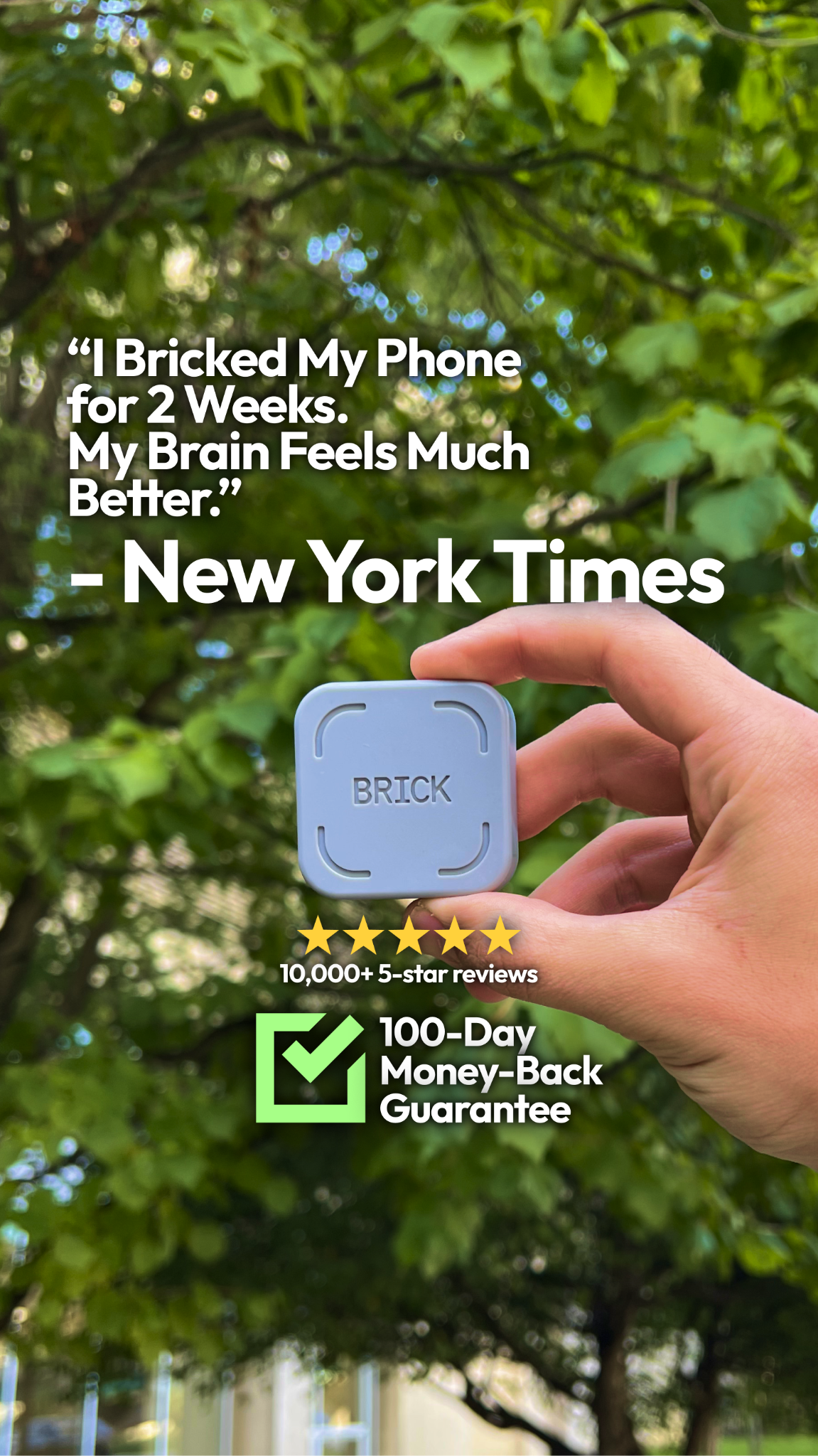 Brick - Take Back Your Time Facebook ad