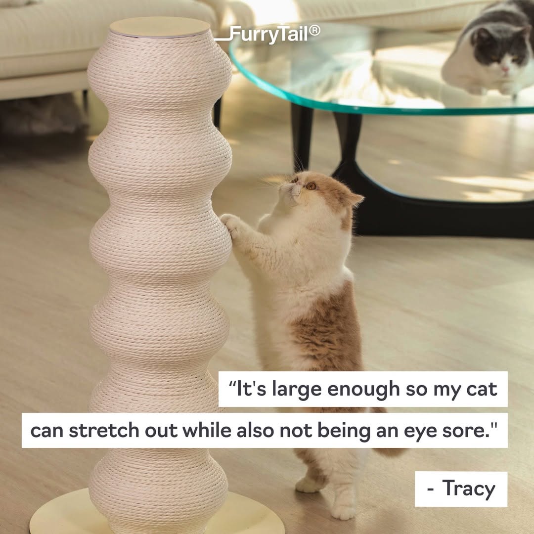 Furrytail_us Facebook ad