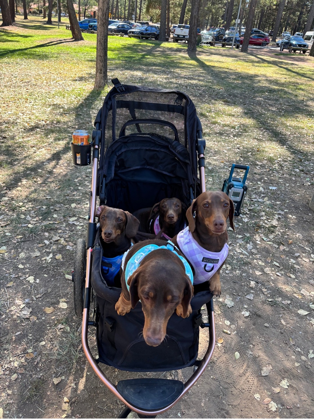 La Luna Pet Care Australia Facebook ad
