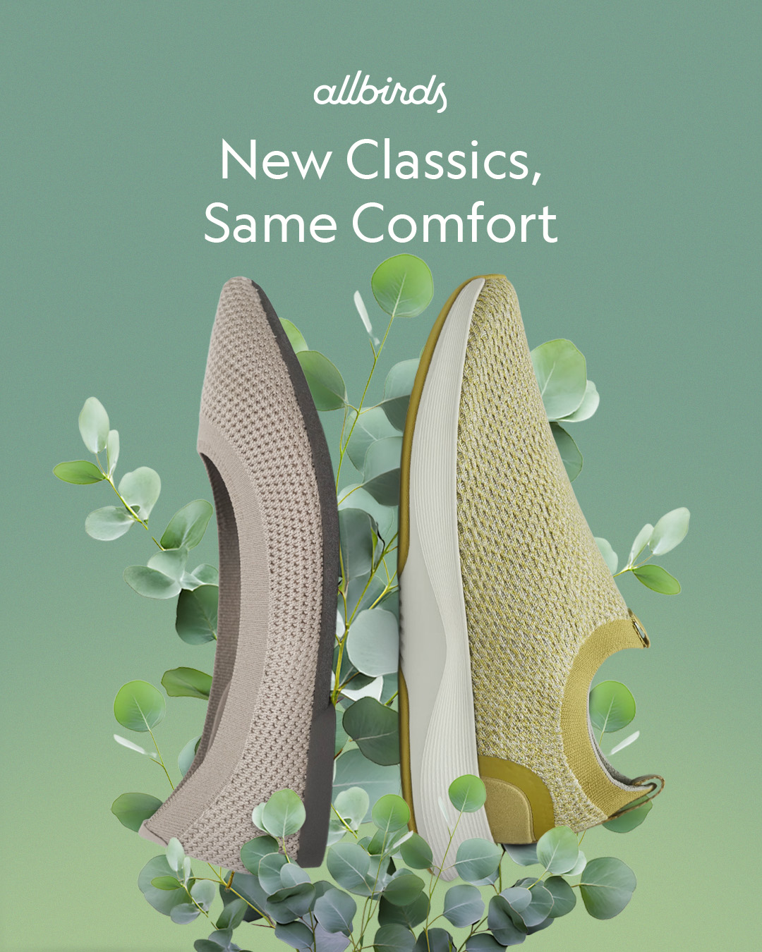 Allbirds Philippines Facebook ad