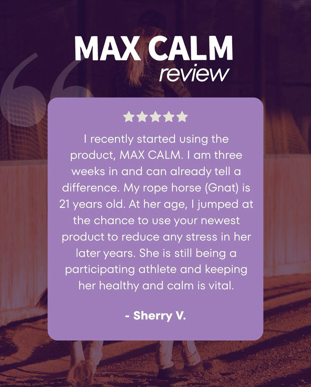 100X Equine Facebook ad