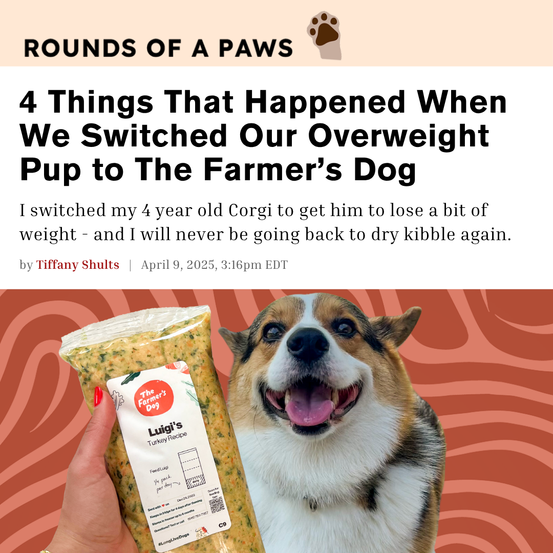 Rounds Of A Paws Facebook ad