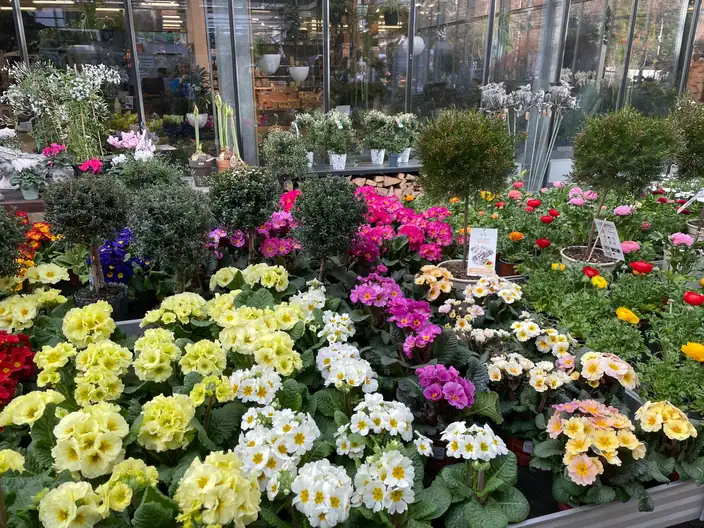 Bacher Gartencenter Facebook ad