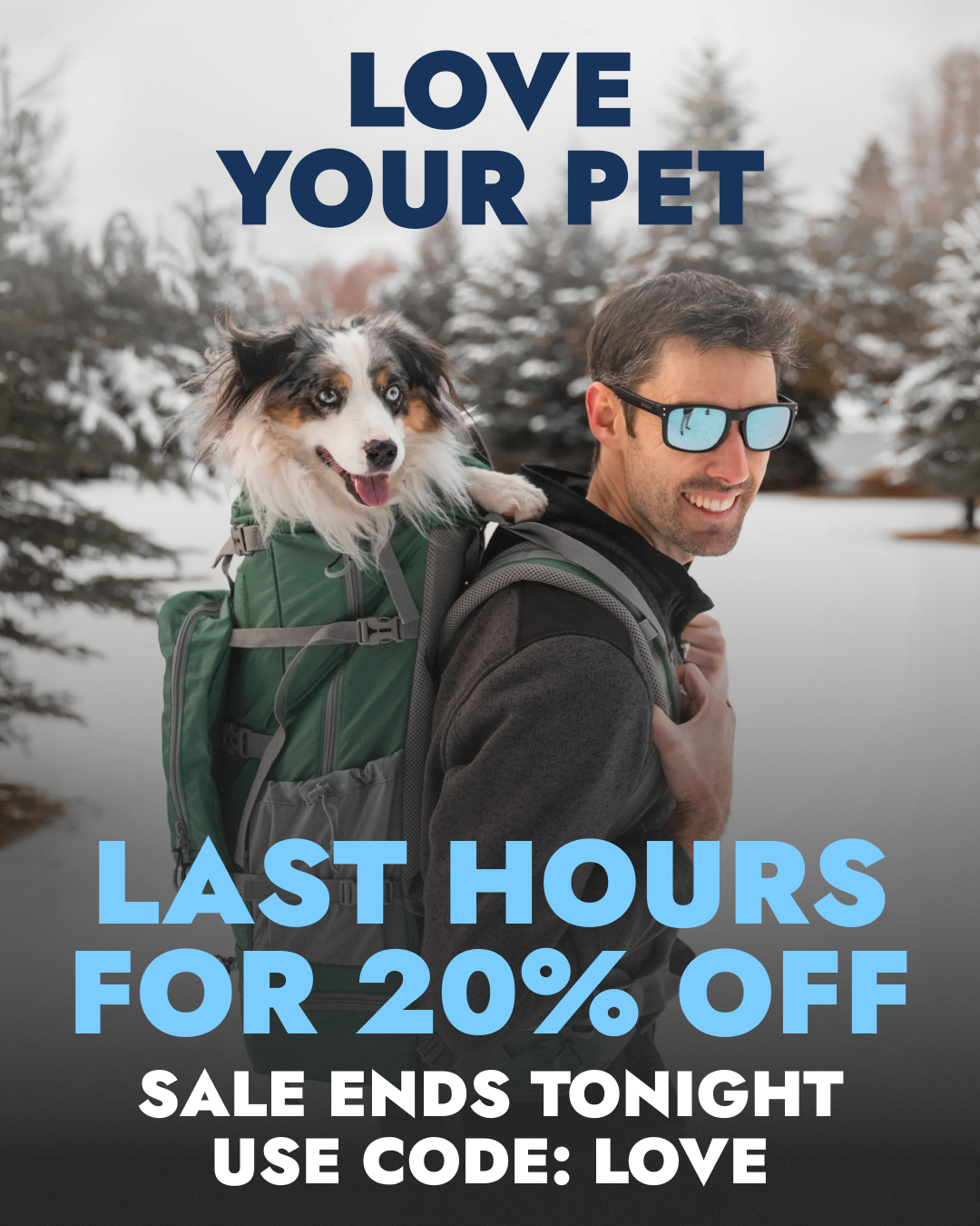 K9 Sport Sack Facebook ad from Feb 20, 2026