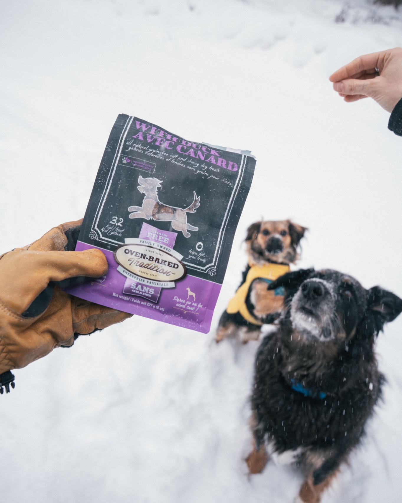 Oven-Baked Tradition Facebook ad: Training with your dog has never been easier…