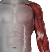 Cilliers & Swart Physiotherapy Facebook ad