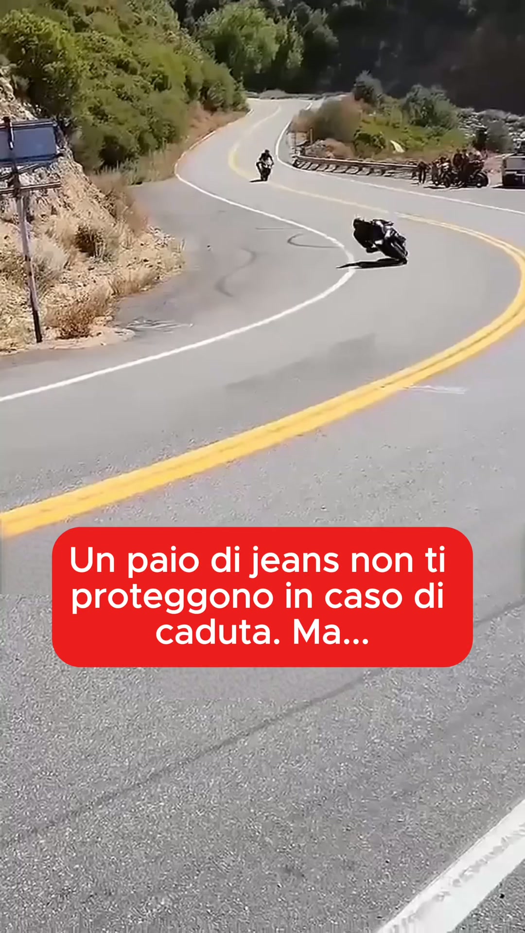 Didélia Facebook ad: Due secondi sull'asfalto.