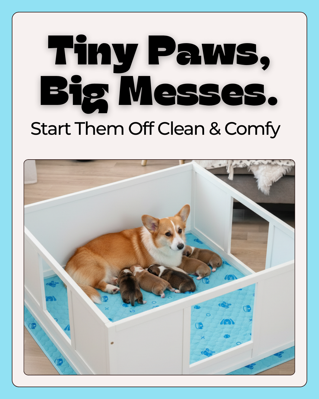 Potty Buddy Facebook ad
