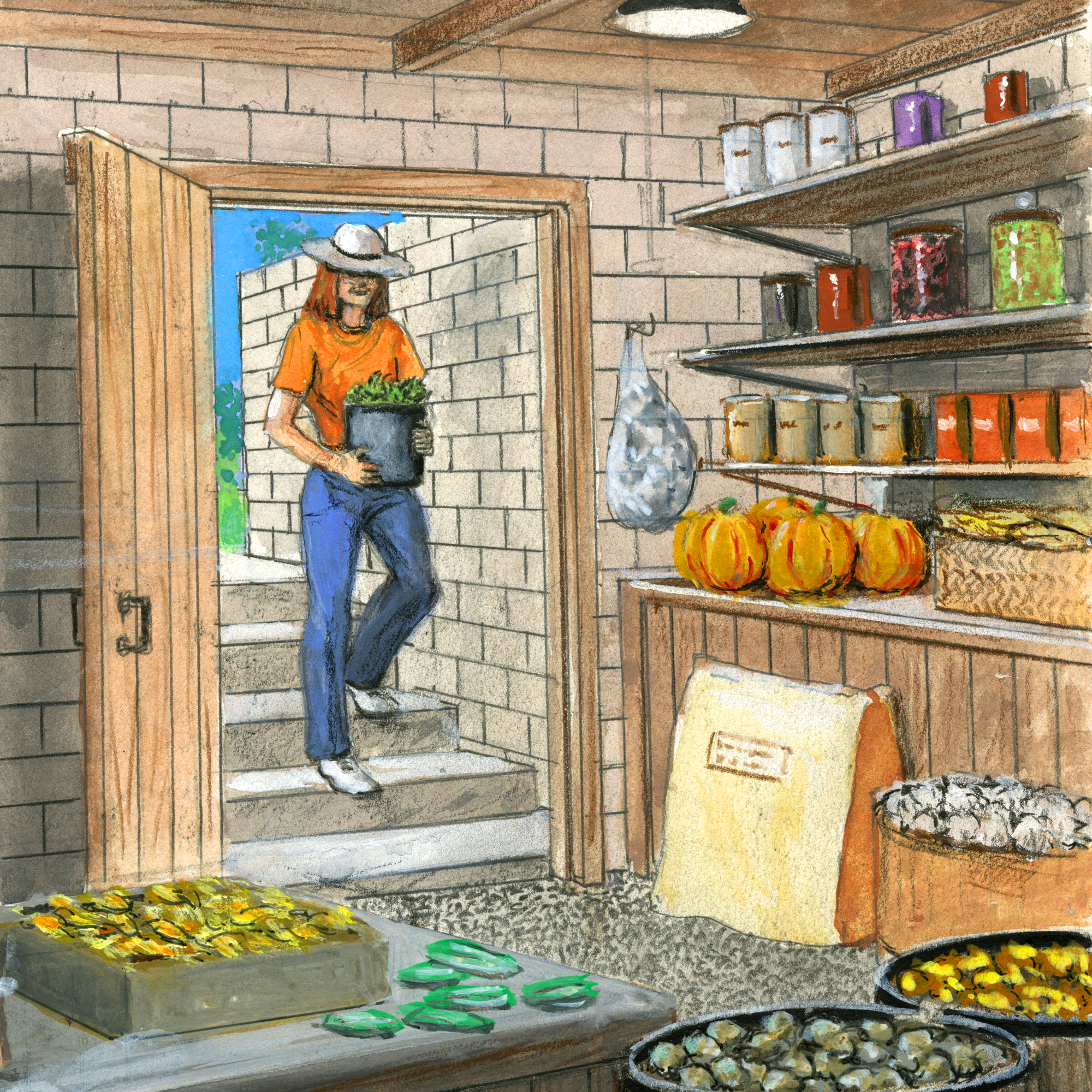 Backwoods Home Magazine Facebook ad