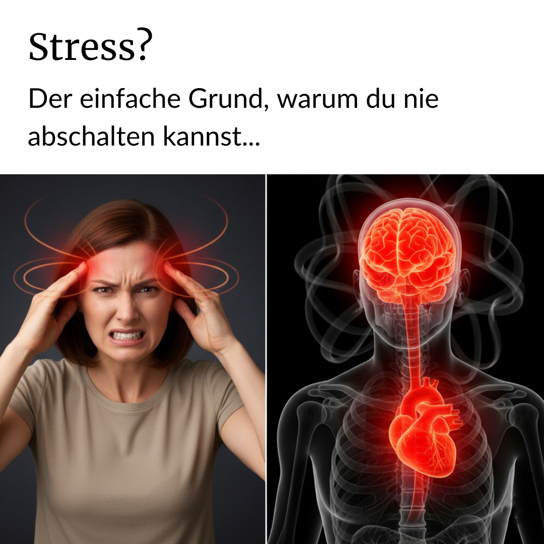 Magazin-Gesundheit Facebook ad
