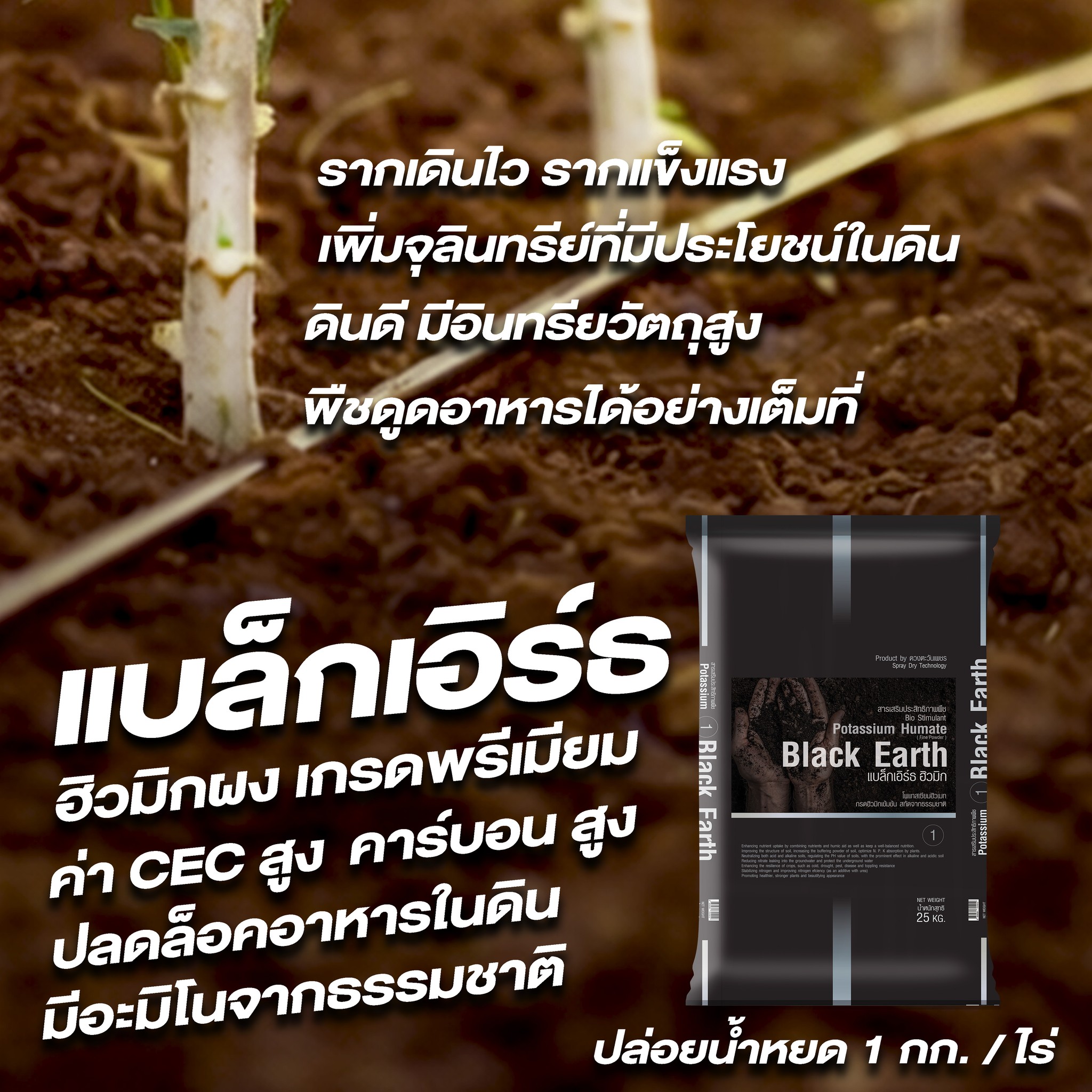 ดวงตะวันเพชร ปุ๋ยเกล็ด ปุ๋ยไฮโดรโปนิกส์ ปุ๋ยระบบน้ำหยด peatm๐ss ฮอร์โมนพืช Facebook ad
