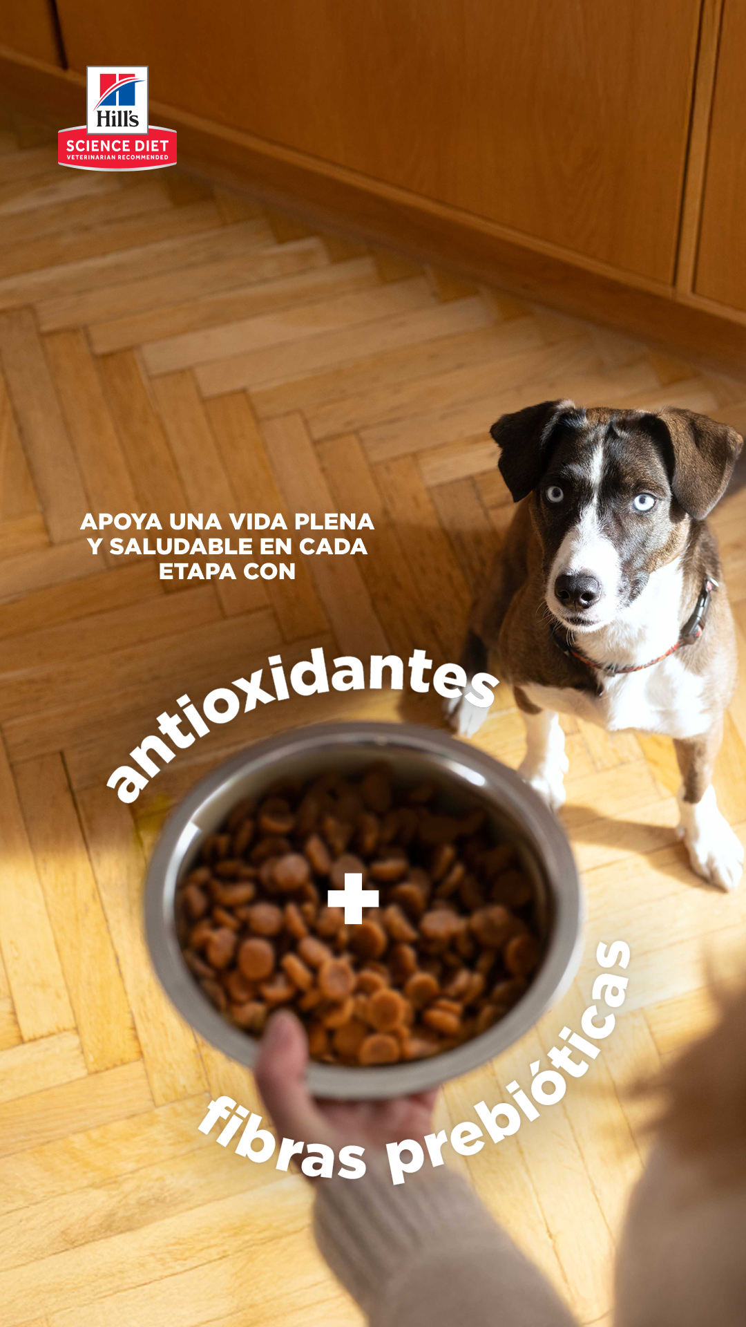 Hill's Pet Colombia Facebook ad