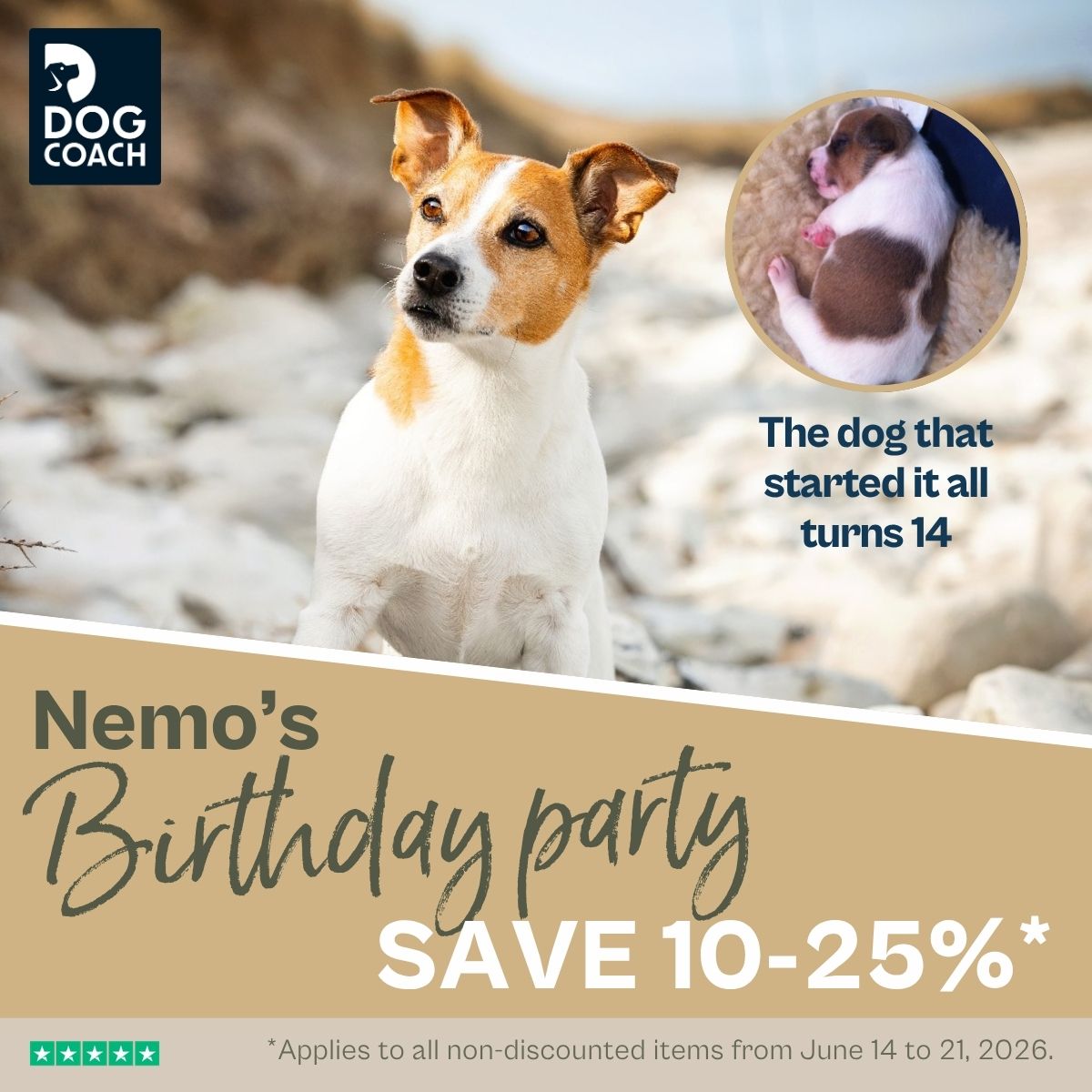 DogCoach Facebook ad