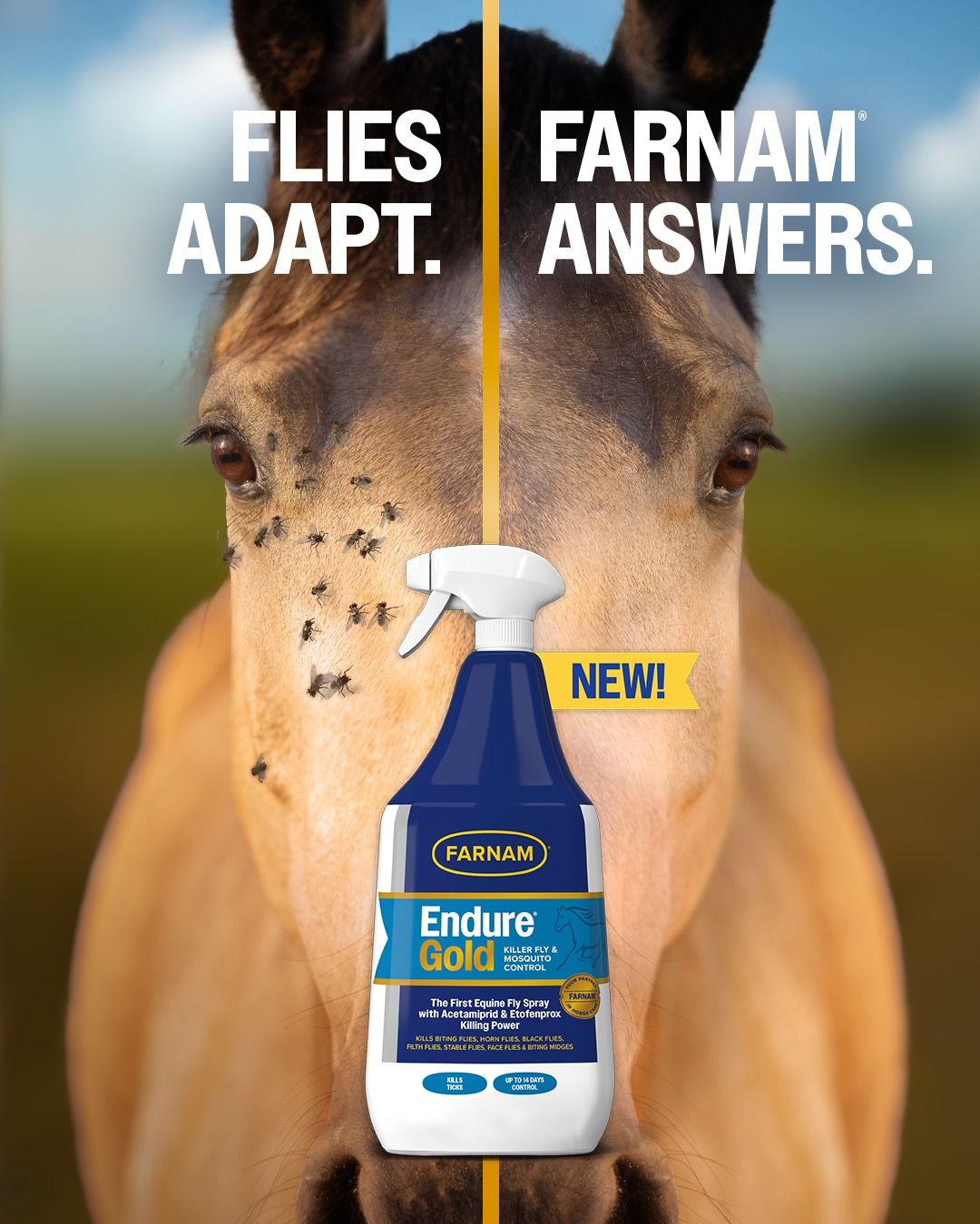 Farnam Horse Facebook ad: Backed by science and built for hard work…