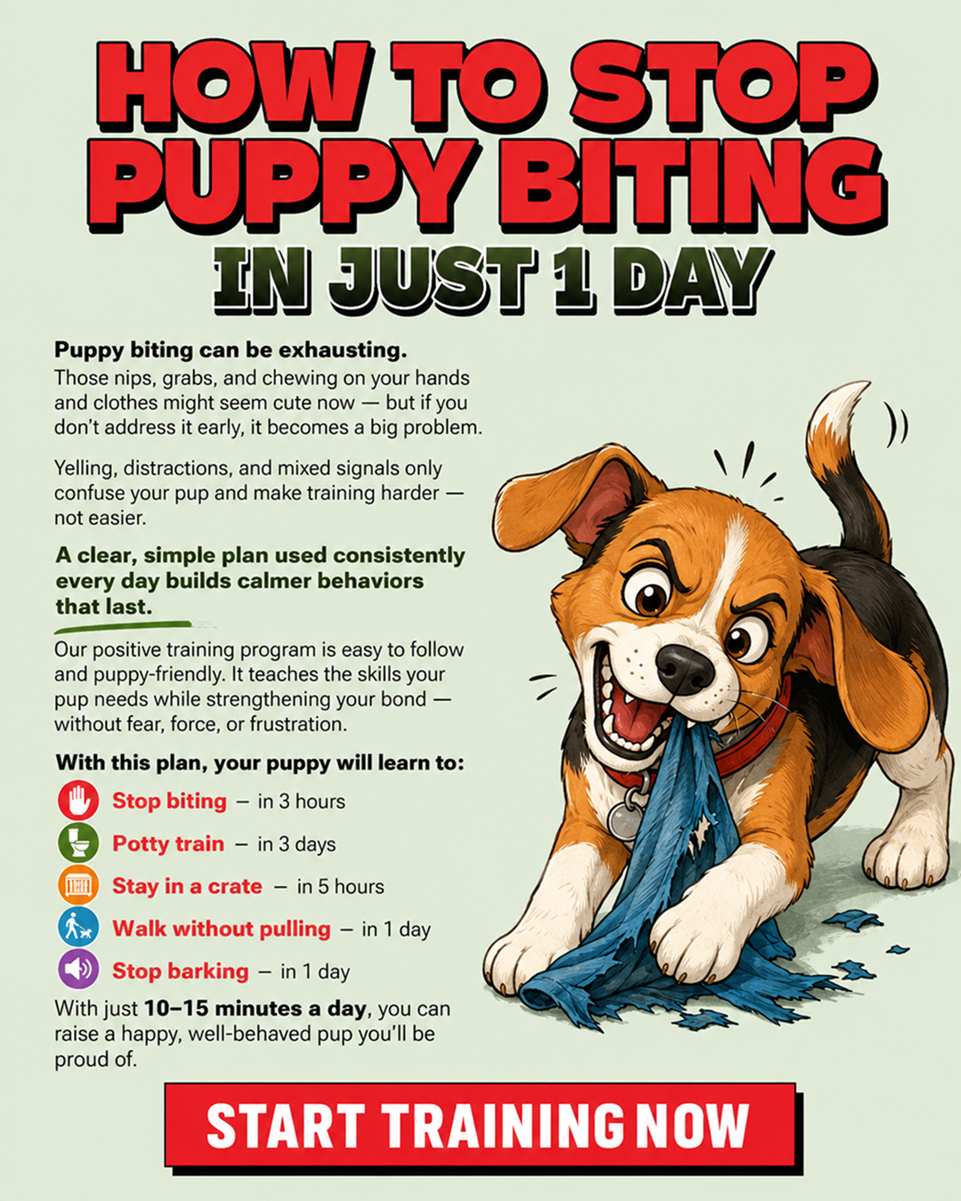 Ben Your Puppy Trainer Facebook ad
