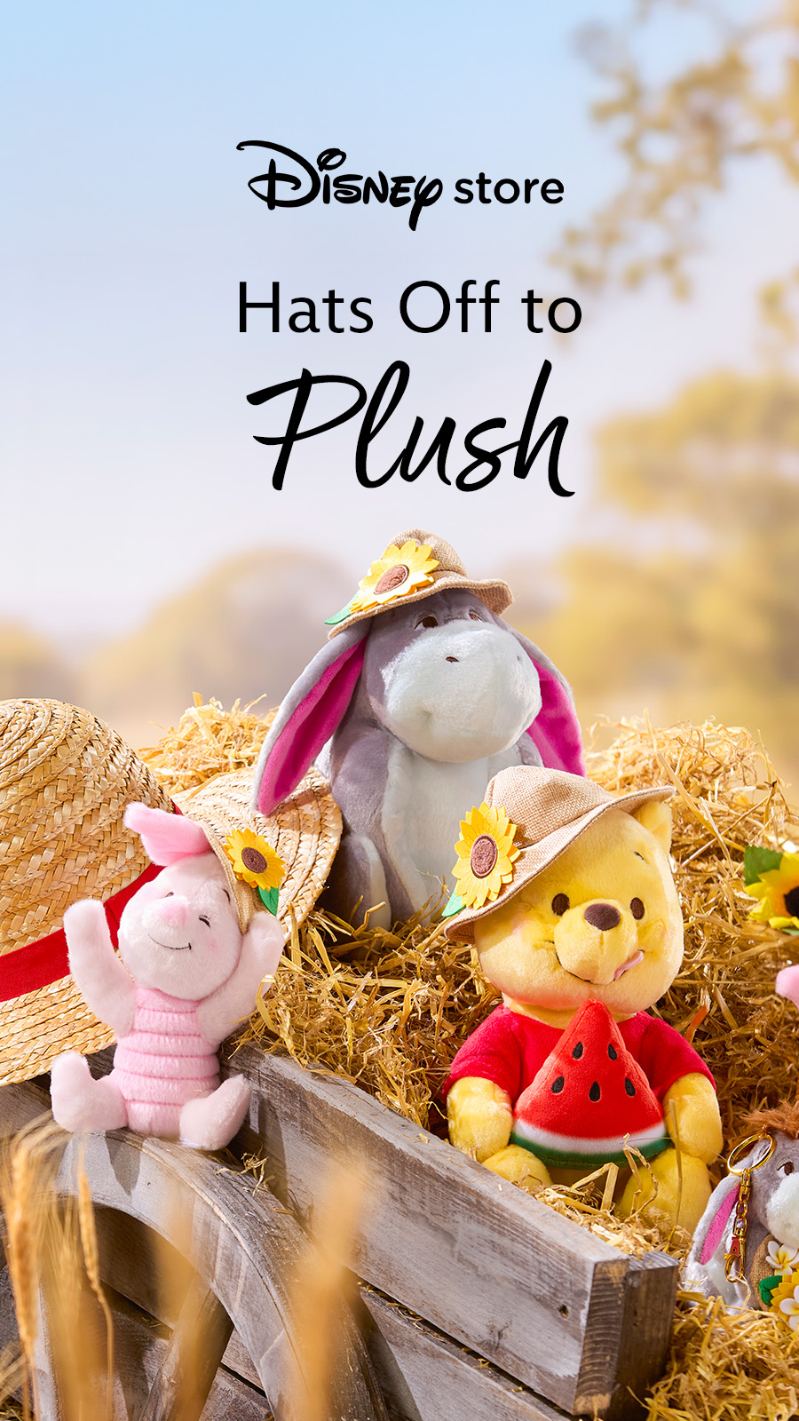 Disney Store Facebook ad