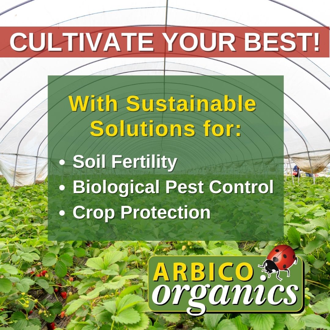 ARBICO Organics Facebook ad: Maximize Efficiency with Organic Solutions!
