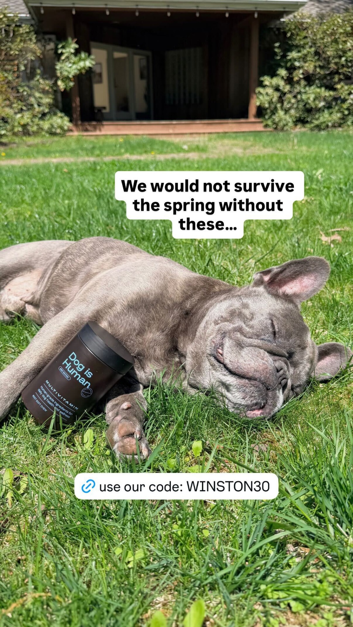 Dog is Human Facebook ad