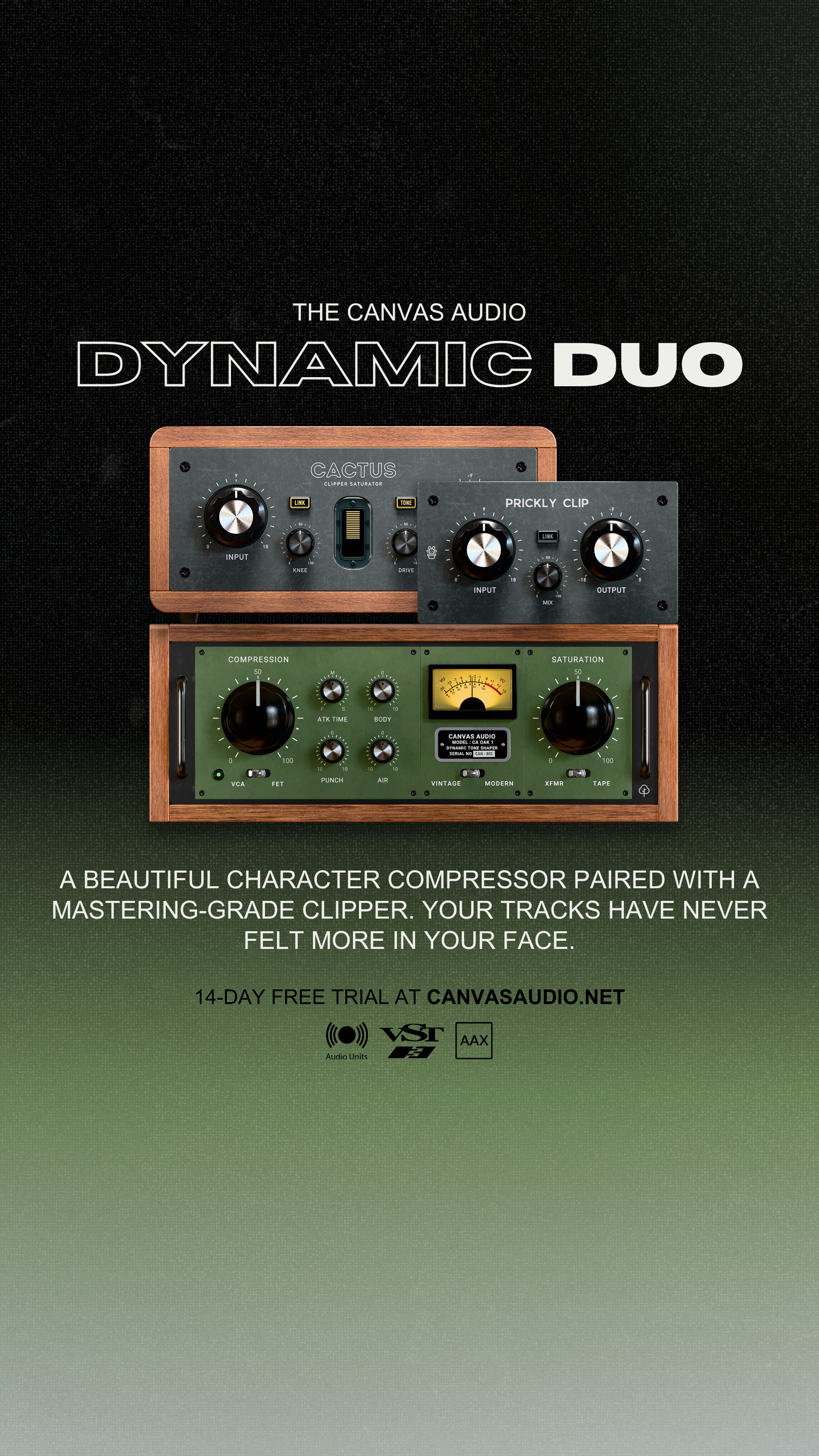 Canvas Audio Facebook ad