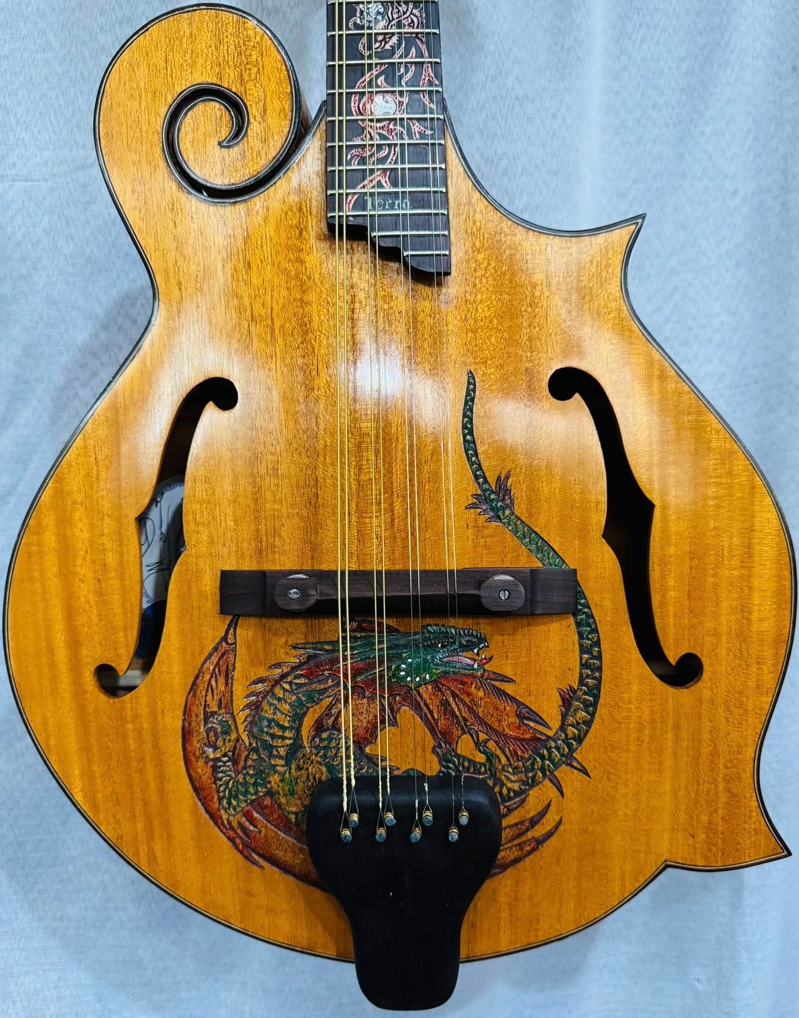 Blueberry Guitars Facebook ad: BlueberryGuitarsShop - Etsy