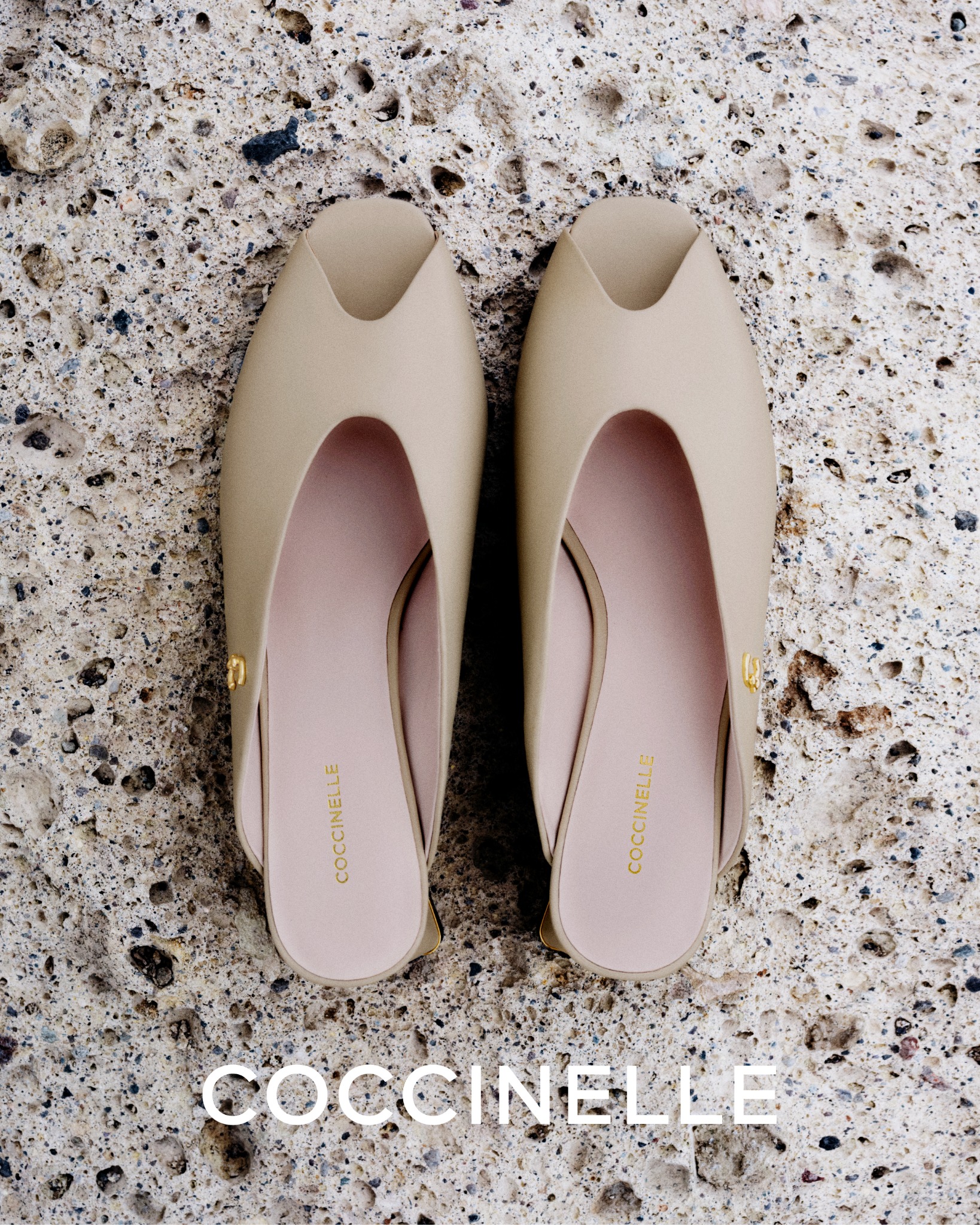 COCCINELLE Facebook ad