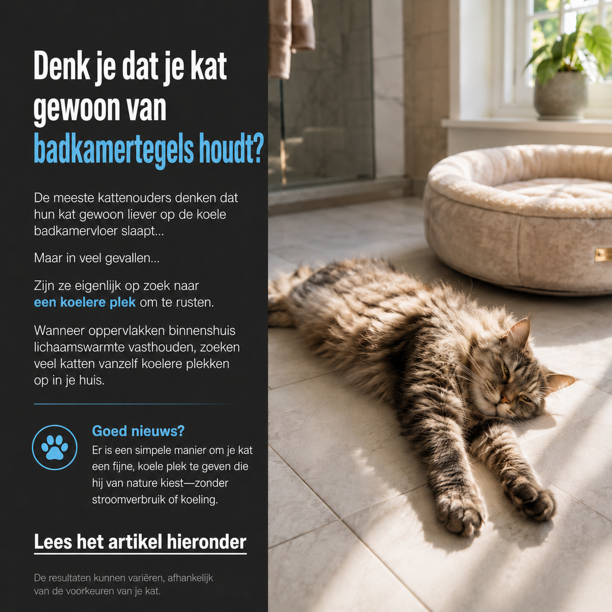 Laura Vermeulen Facebook ad: Heb jij een kat? Lees dit dan goed.