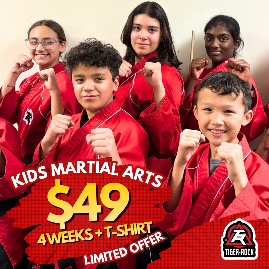 Tiger Rock Martial Arts of Katy South Facebook ad