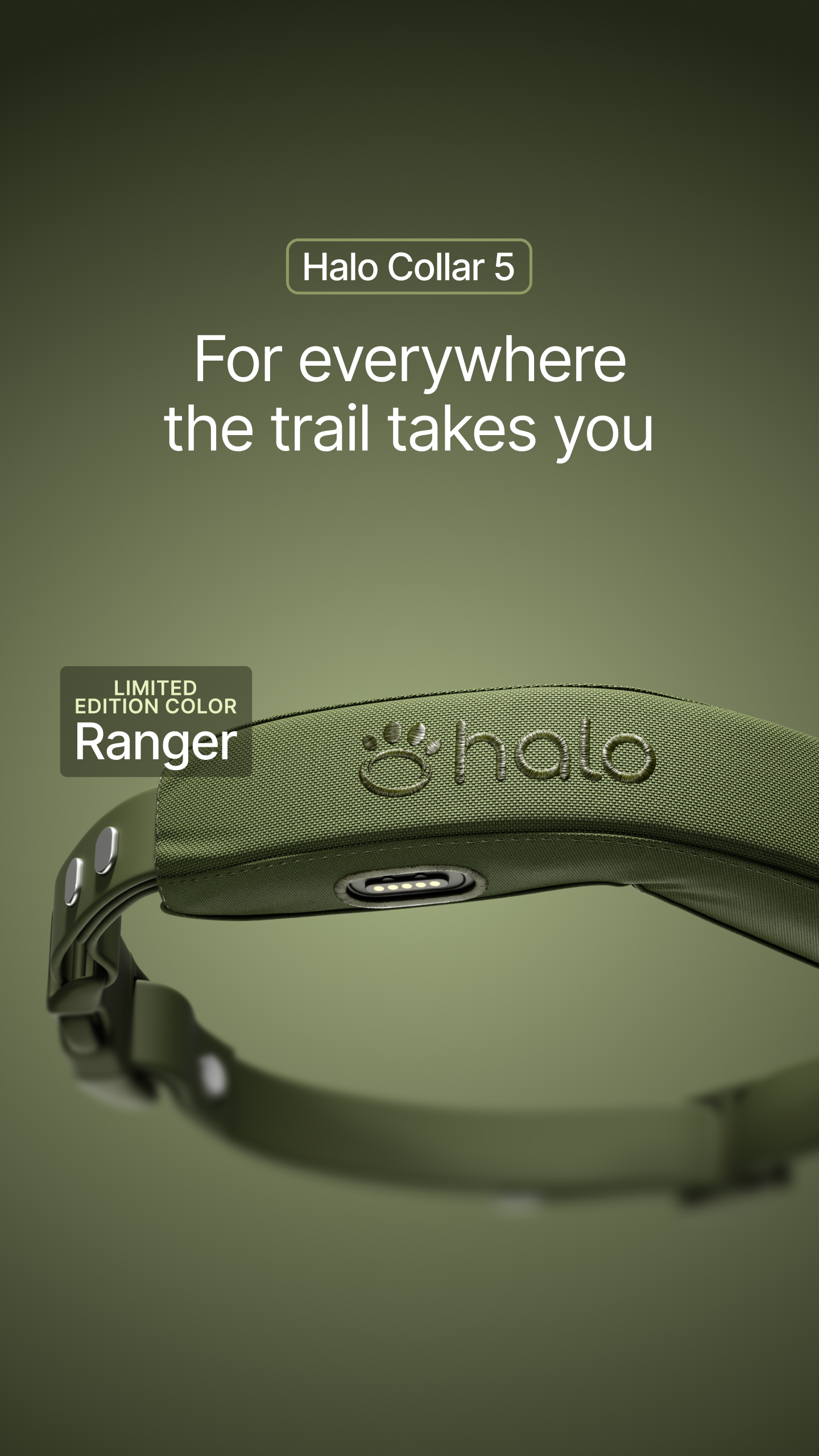 Halo Collar Facebook ad
