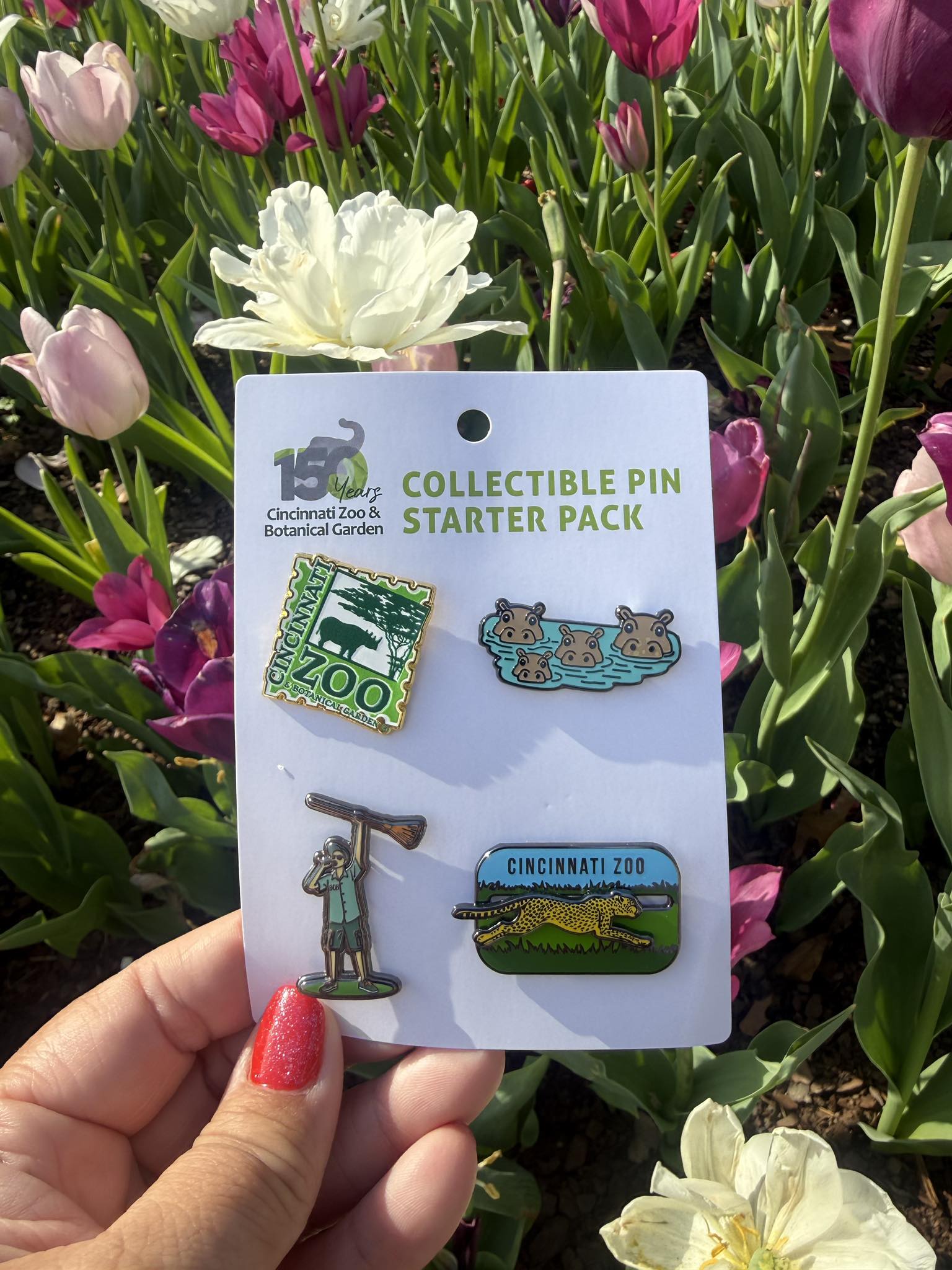 Cincinnati Zoo & Botanical Garden Facebook ad: Shopping? Go WILD!