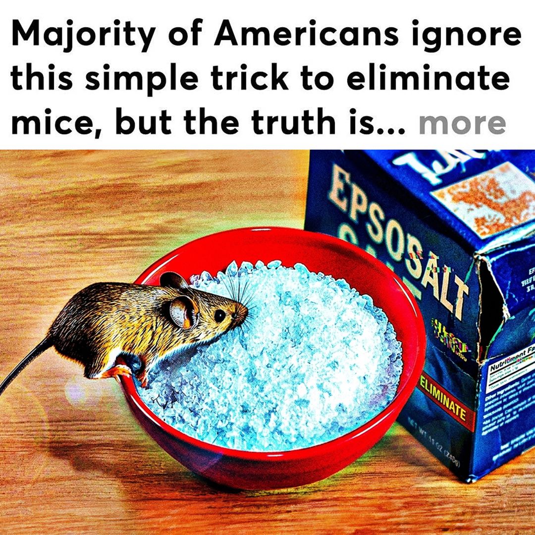 Homeowners Vs. Mice Facebook ad