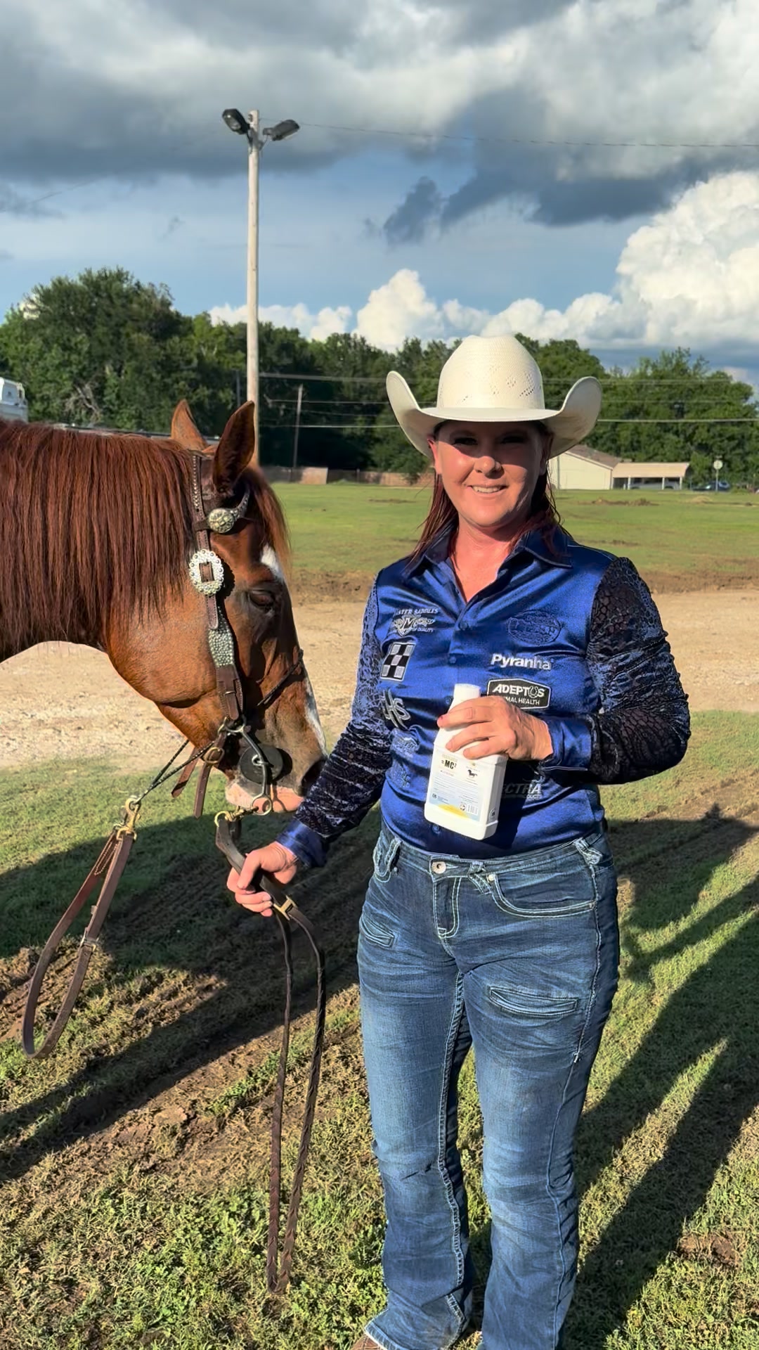Equine Health Solutions Facebook ad: Training doesn't disappear under pressure. Focus does.