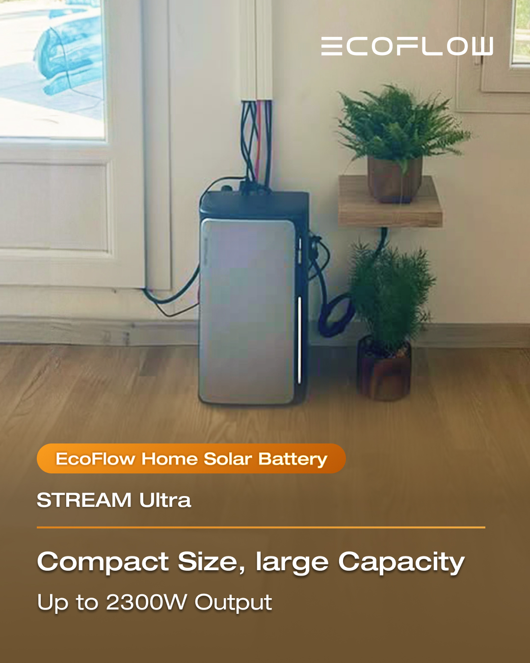 EcoFlow Facebook ad