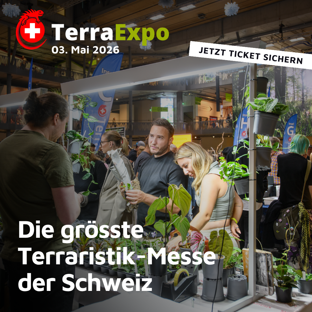 TerraExpo Terraristikbörse Facebook ad: Jetzt Ticket sichern!