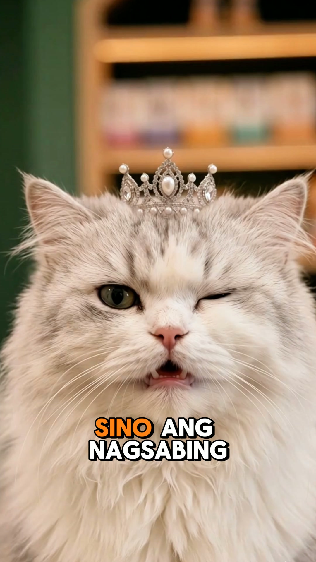 Pioneer Pet Clinic Facebook ad: Mag-book na ngayon