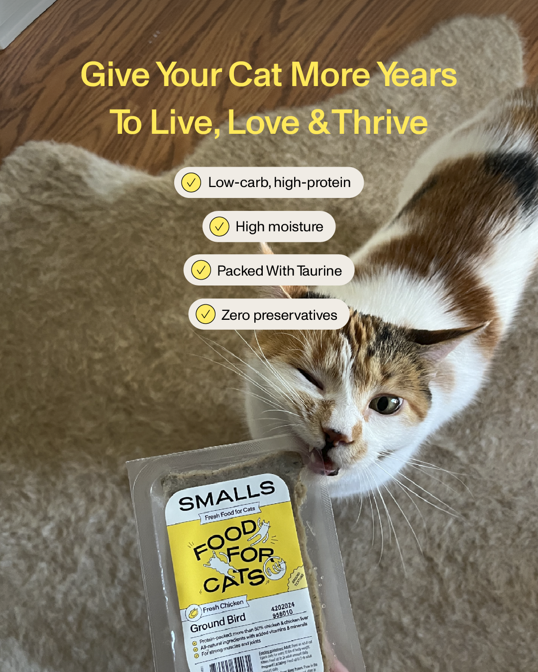 Smalls Facebook ad: Human-Grade Fresh Cat Food