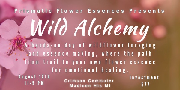 Crimson Commuter Facebook ad: Wild Alchemy: Crafting Your Own Flower Essence