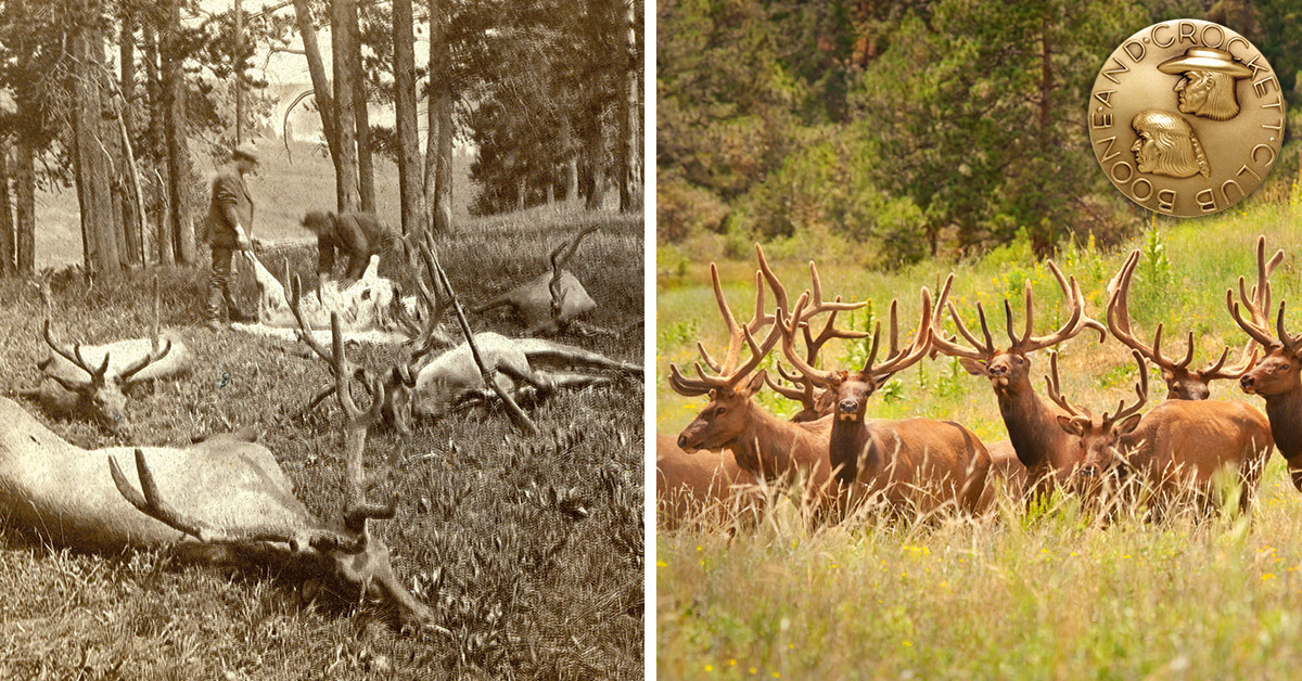 Boone and Crockett Club Facebook ad