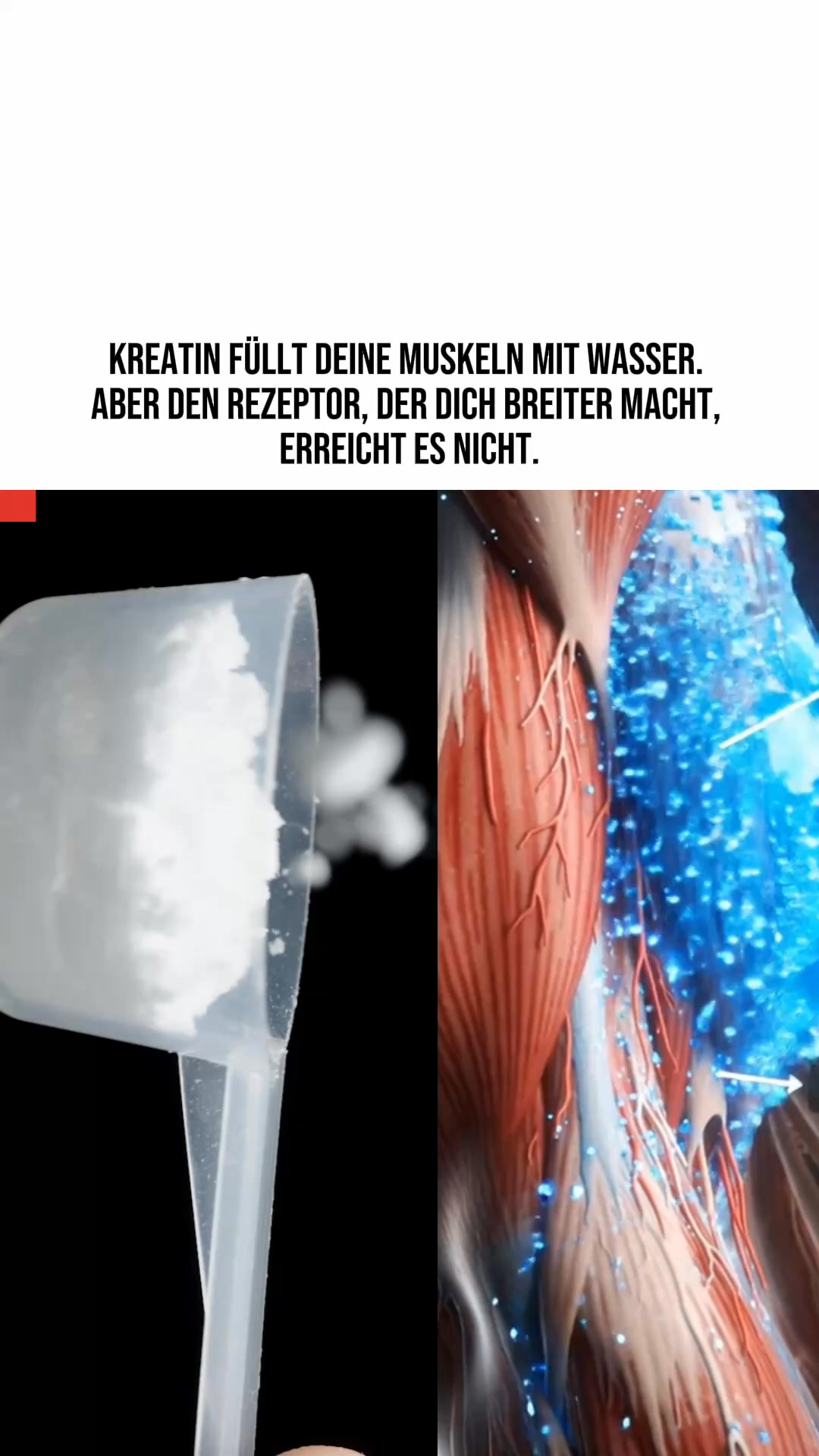 Vitamino Facebook ad: 2 kg mehr Muskelmasse in 10 Wochen?