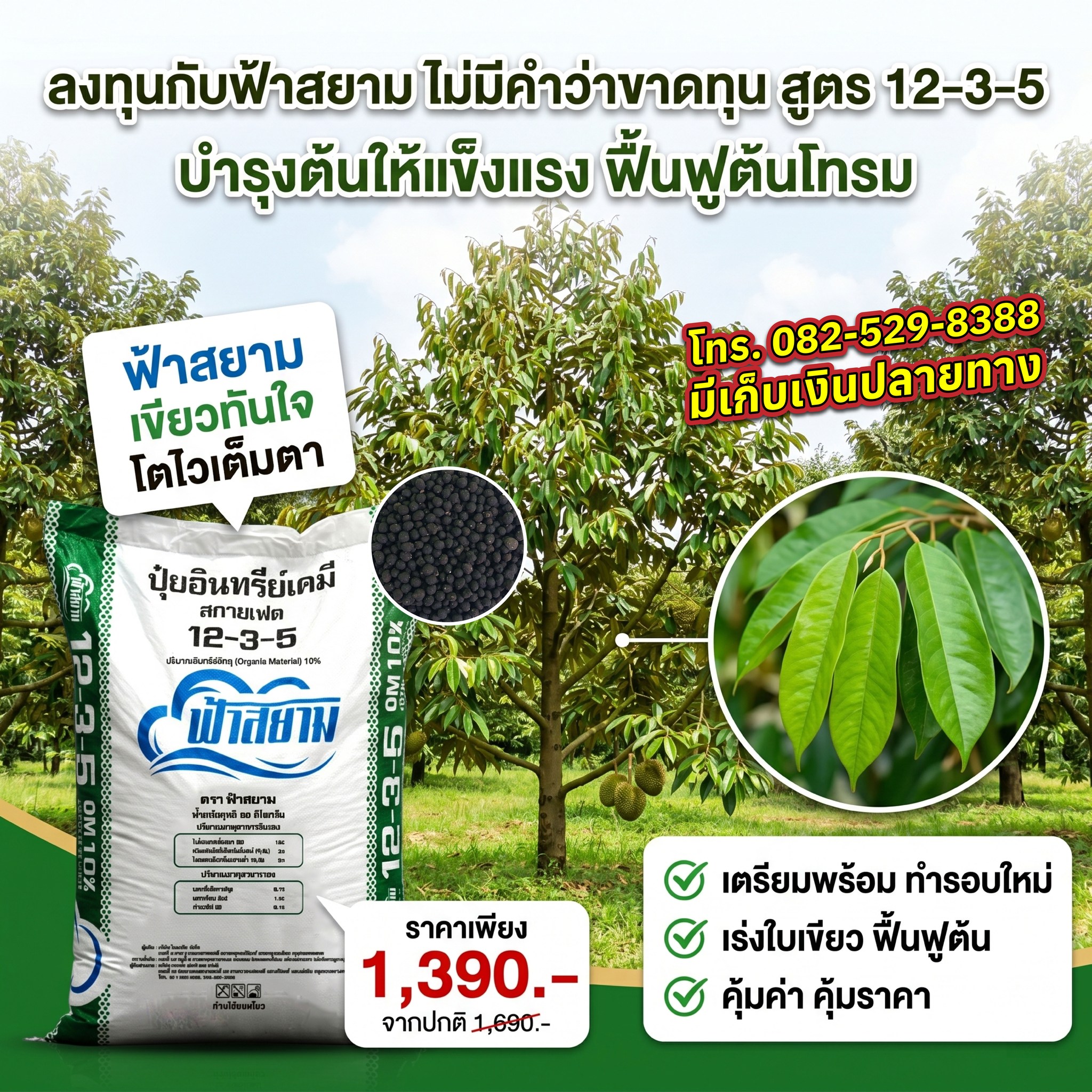 ปุ๋ยตราฟ้าสยาม Facebook ad: ลงทุนกับฟ้าสยาม ไม่มีคำว่าขาดทุน