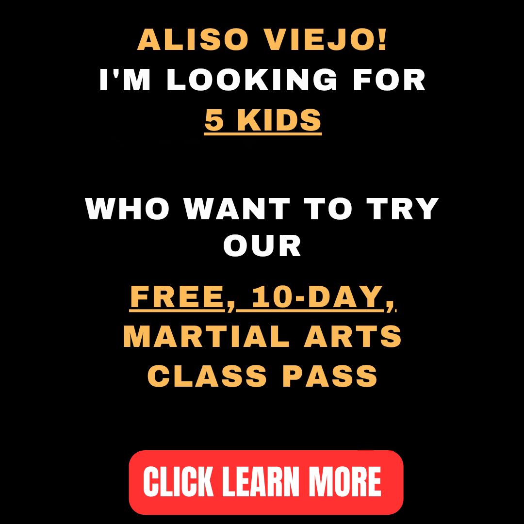 National Taekwondo Academy Aliso Viejo Facebook ad