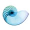 Aquarius Wellness Center For Healing Arts and Massage Therapy-St. Louis