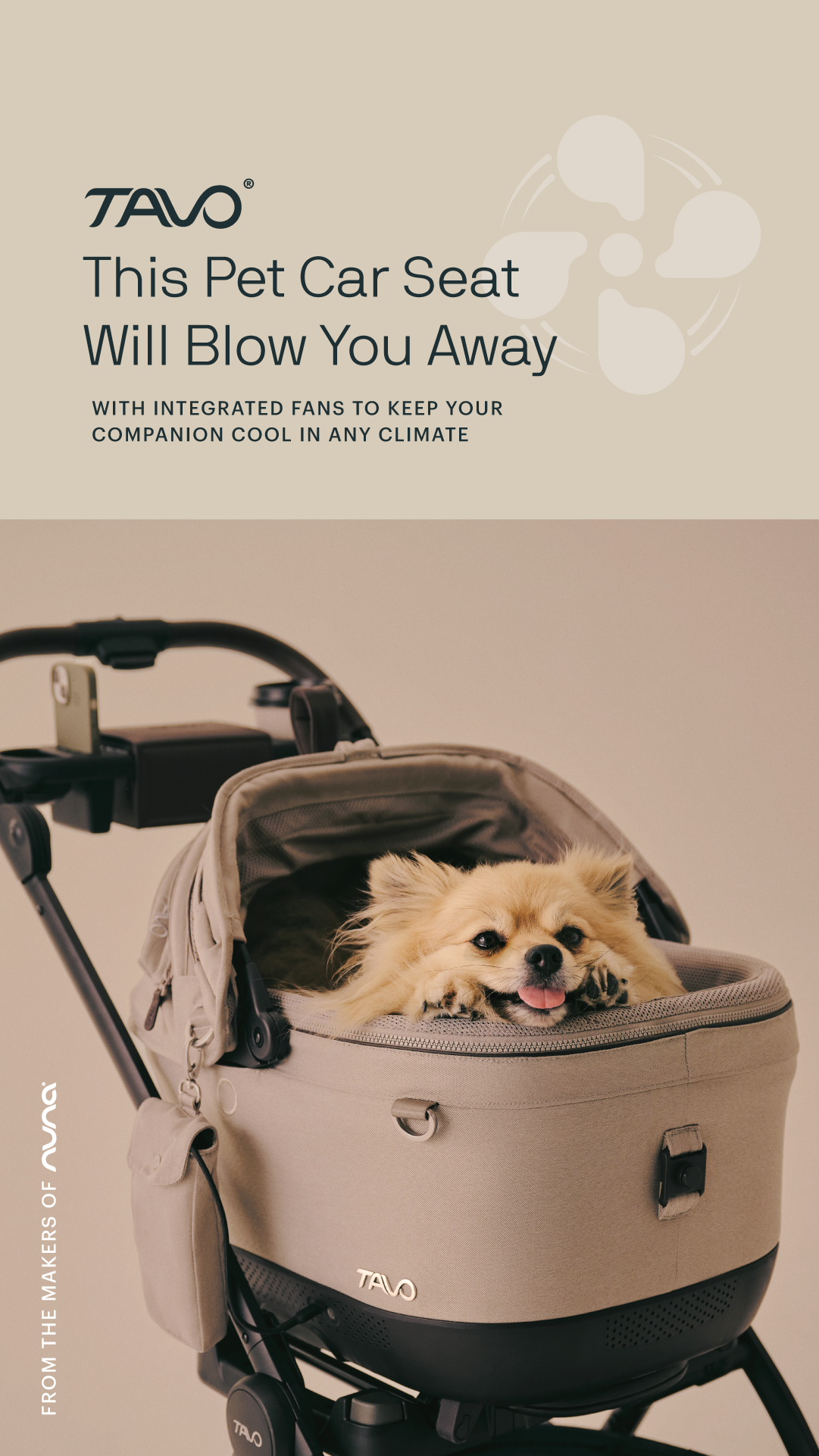 Tavo Pets Facebook ad