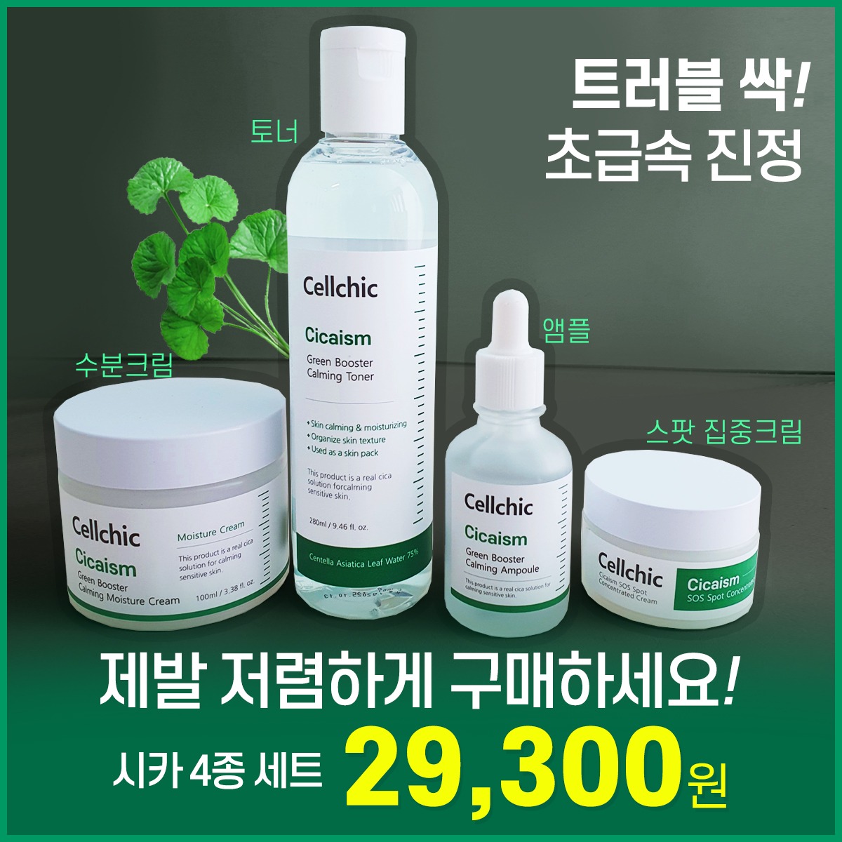 Cellchic 셀시크 Facebook ad: 트러블 없애는데 이만한거 없음.
